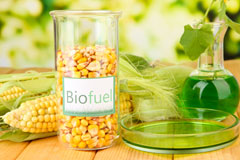 Began biofuel availability